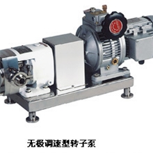 无极调速型转子泵