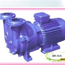 厂家热销水环真空泵2bv5131水环真空泵2bv5121