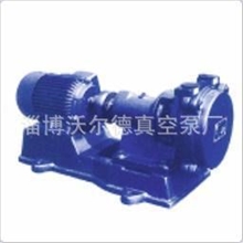 SK双级真空泵淄博真空泵厂家直供水环式真空泵