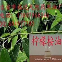 供应柠檬桉油柠檬桉叶油