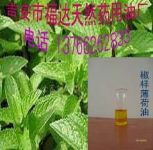 供应椒样薄荷油薄荷油薄荷植物油