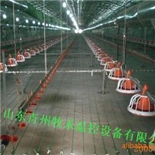 肉鸡养殖设备肉鸡畜牧设备专业水线料线养鸡专用水线料线