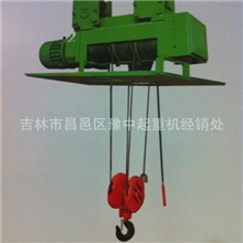 厂家直销钢丝绳冶金电动葫芦、防爆电动葫芦、环链葫芦