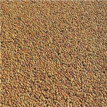 透水胶粘石地坪，美观大方、应用广泛，西奥地坪施工公司。