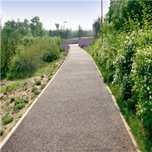 露骨料观光车道、人行道、公园景观等路面专业施工。