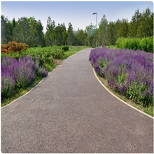 北京西奥园林景观工程公司，专业承接：景观园林露骨料路面