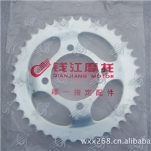 钱江原厂配套正品高级摩托车链轮套链45#原钢锻打耐磨优等套链链