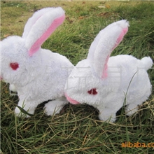 电动前进兔子毛绒兔有声音眼睛会亮地摊热销玩具1