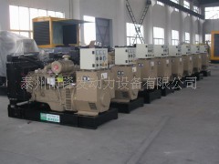 全新250KW康明斯柴油发电机组-江苏发电机