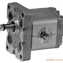 迪普玛DUPLOMATIC齿轮泵1P系列