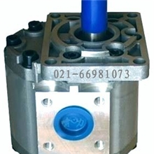 CBN大排量高压泵*压力16~25，排量25~80cbn齿轮泵