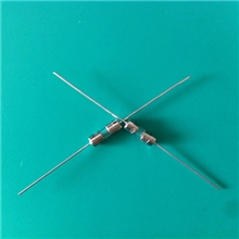 厂家直销3.6*10电流保险丝