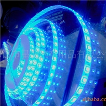 1米60灯滴胶防水灯条