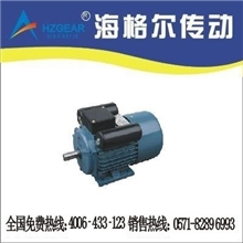供应YL100L2-4电动机单相异步电动机减速电动机调速电动机