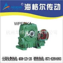 WPEDKA、FCEDKA型孔式双极蜗轮蜗杆减速机减速机蜗轮减速机