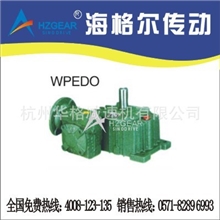 WPEDO、FCEDO型双极减速机塑料设备蜗轮减速机减速机厂变速机