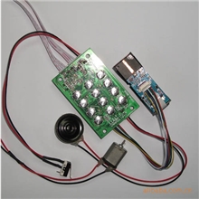 供应全程语音指纹密码控制器