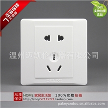 德力西CD21086型二极三极10A电源插座五孔插座