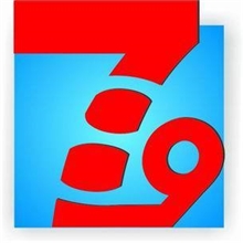 食品级松香甘油酯证件齐全