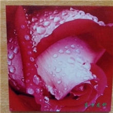 个性玻璃开关面板打印机，玻璃开关面板打印机设备