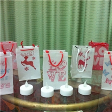 【推荐厂家直销质优价廉】供应蜡烛包/小袋子/硫酸纸袋