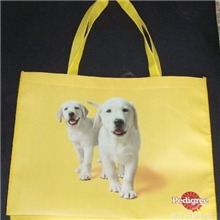 供应无纺布袋环保袋用质量和价格打入市场