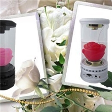 厂家直销七彩玫瑰花插卡小音箱新奇特USB插卡音箱