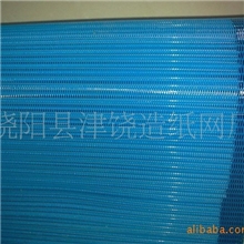 聚酯螺旋网造纸干网