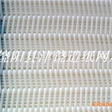 聚酯螺旋压滤网带