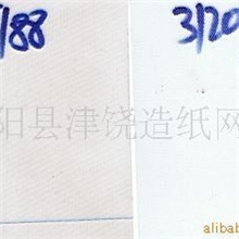 聚酯成型网聚酯螺旋网造纸网