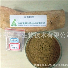 陕西澳源厂家现货供应|东革阿里提取物，|天然壮阳补肾中药原料