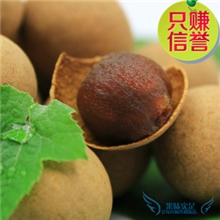 厂家直销龙眼干福建莆田特级大桂圆核小肉厚250g份量大从优