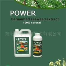 厂家供应发酵有机海藻肥