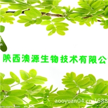 供应刺五加提取物|刺五加甙|品质保证