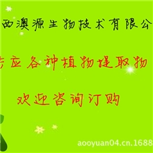 茶多酚|绿茶提取物|含量98%|品质保证