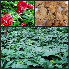 供应优质人参皂苷Rg1、Rb1三七提取物人参皂甙Rg1、Rb1