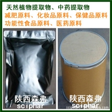 生产供应优质槲皮素98%