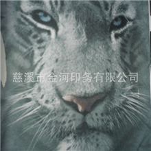 热转印升华移印服装印花热升华加工厂