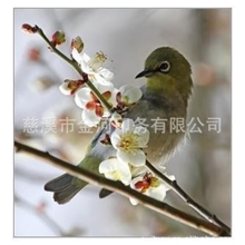 卡通儿童书包热转印加工厂