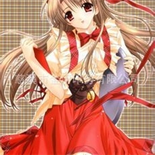 儿童背带裙热转印热转印印花纸