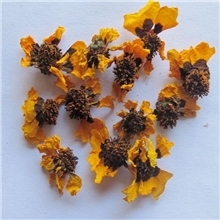 新疆特产雪菊包邮顶级雪菊昆仑雪菊和田血菊茶天山雪菊批发