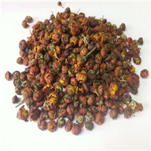 新疆厂家直销2013昆仑雪菊，天山雪菊胎菊新货上市特价批发