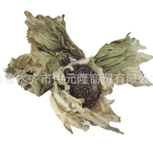 新疆天山野生雪莲特价批发疯抢重量14克以上