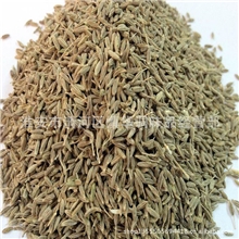 产地直销新疆孜然甘肃孜然烧烤配料孜然粉出口级孜然