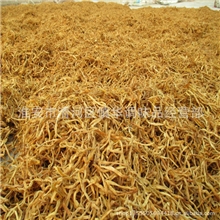 供应原生态黄花菜金针菜绿色黄花菜干黄花菜出口无硫黄花菜