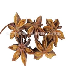 产地直销广西八角干八角调味品八角批发
