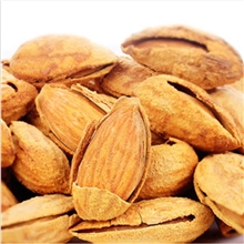 杏仁np薄壳杏仁250g巴旦木新货最低批发价代发