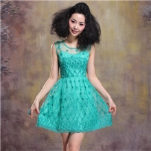 2013欧美新款夏装厂价直销一件代发免费代理欧根莎无袖连衣裙