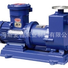 供应ZCQ20-12-110自吸式不锈钢磁力泵