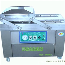 DZ-500/2s真空包装机